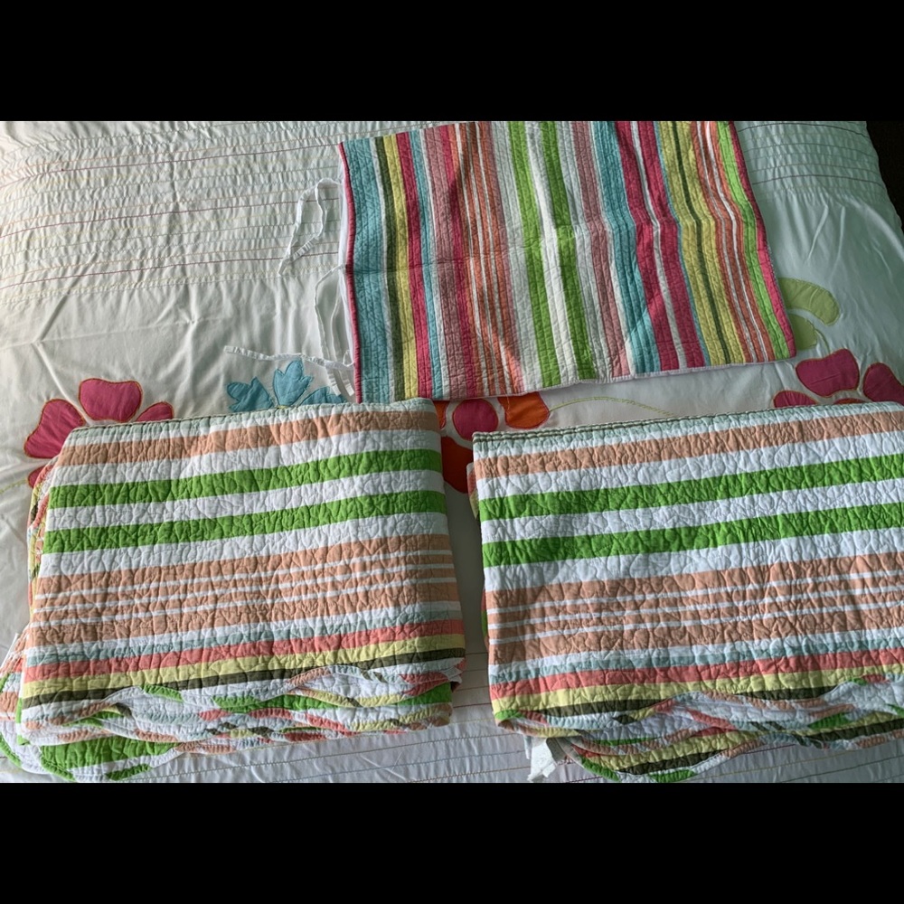Twin size Quilts - Picture 2 of 10